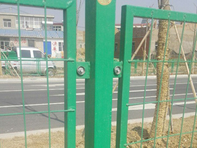 安徽蚌埠黃山大道綠化隔離項目